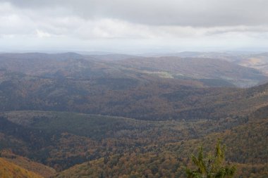 Karpat Dağları 'nın manzarası, Beskid bölgesi. Karpat Dağları akşam ışığında karışık ormanlarla kaplıdır. Muhteşem Karpatlar, Skole Beskydy Milli Parkı manzarası