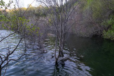 Chykalivka, Kremenchuk Bölgesi, Poltava Bölgesi - 20 Nisan 2025: Daha sonra su ile taşan terk edilmiş bir taş ocağı, Poltava Bölgesi, Kremenchuk, Chykalivka köyünde yer almaktadır..