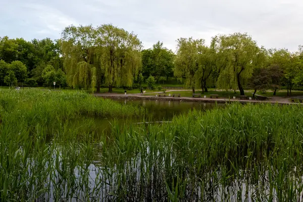 Cherkasy, Ukrayna - 21 Mayıs 2025: Cherkasy City Zafer Parkı