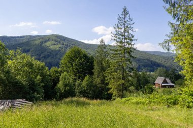 Yeşil ormanlarla, yuvarlanan tepelerle nefes kesen bir dağ vadisi ve açık mavi bir yaz gökyüzünün altında yuva yapmış bir köy.