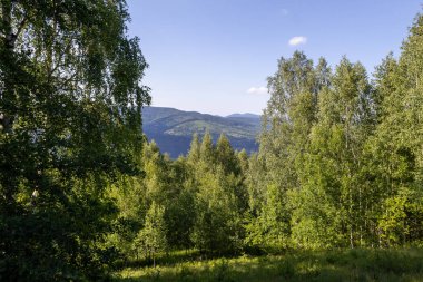 Yeşil ormanlarla, yuvarlanan tepelerle nefes kesen bir dağ vadisi ve açık mavi bir yaz gökyüzünün altında yuva yapmış bir köy.