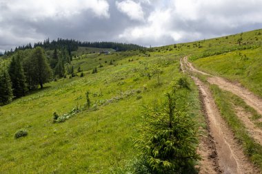  Yaremche, Ukrayna yakınlarındaki Karpatlar 'da Yavirnyk çayırı