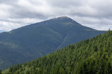 Ukrayna Karpatları 'ndaki Khomyak Dağı manzarası
