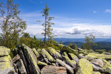 Ukrayna 'daki Karpat dağlarında Yavirnyk-Gorgan dağı zirvesi