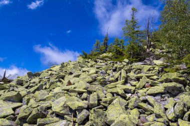 Ukrayna 'daki Karpat dağlarında Yavirnyk-Gorgan dağı zirvesi
