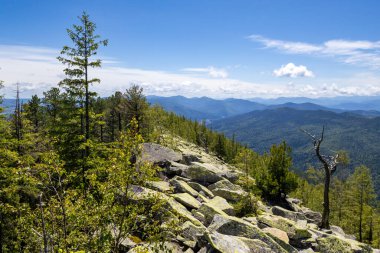 Ukrayna 'daki Karpat dağlarında Yavirnyk-Gorgan dağı zirvesi