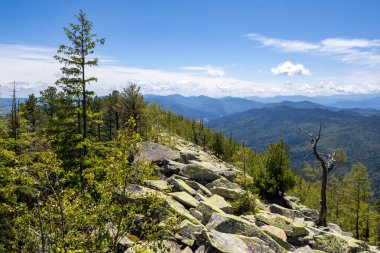 Ukrayna 'daki Karpat dağlarında Yavirnyk-Gorgan dağı zirvesi