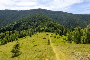 Yuvarlanan yeşil tepeleri, yoğun ormanları ve dramatik bulutları olan dağ manzarası. Dokunulmamış doğa manzarası, yürüyüş, seyahat ve açık hava macerası için mükemmel.