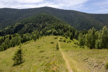 Yuvarlanan yeşil tepeleri, yoğun ormanları ve dramatik bulutları olan dağ manzarası. Dokunulmamış doğa manzarası, yürüyüş, seyahat ve açık hava macerası için mükemmel.