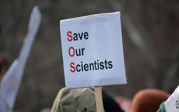 DOGE 'nin Washington Square Park, New York' taki hükümet araştırmalarını kesmesine karşı düzenlenen 