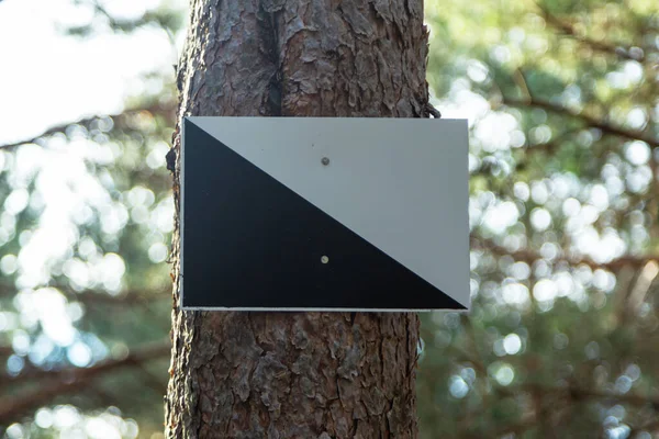 Охота Сохраняет Предупреждающий Знак Стволе Сосны Знак Дангер Лесу Национальном Лицензионные Стоковые Фото