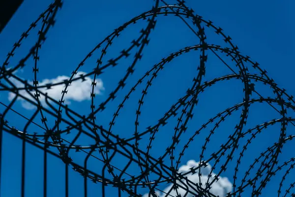 Dikenli teller gökyüzüne karşı