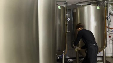 Bira fabrikasındaki bira kalitesini denetleyen gençler
