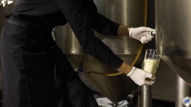 Bira fabrikasındaki bira kalitesini denetleyen gençler