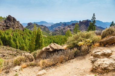 beautiful landscape of the volcanic island of gran canaria
