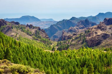 beautiful landscape of the volcanic island of gran canaria