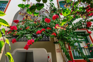 historic center of puerto de mogan with lots of bougainvillea flowers, Canary Island