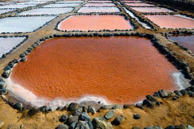 Gran Canaria, Salinas de Tenefe salt evaporation ponds, southeastern part of the island, pink color created by Dunaliella salina algae