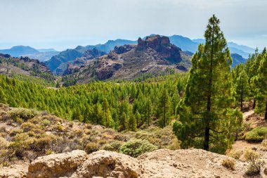 beautiful landscape of the volcanic island of gran canaria