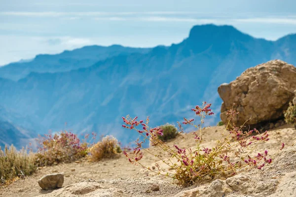 Beautiful Landscape Volcanic Island Gran Canaria 스톡 이미지