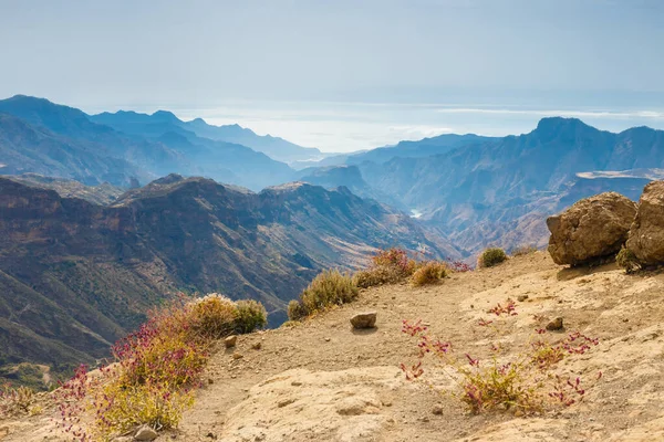 Beautiful Landscape Volcanic Island Gran Canaria Fotos De Bancos De Imagens