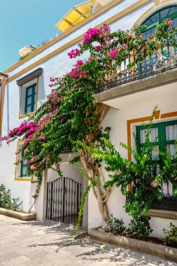Bougainvillea flowers growing in the streets of Puerto de Mogan. Gran Canaria, Spain