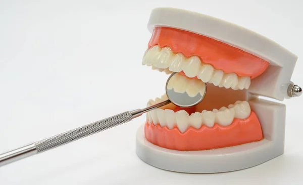 Beyaz Arka Planda Diş Aynası Diş Modeli — Stok fotoğraf