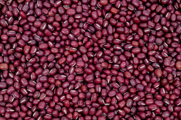 stock image Adzuki beans background and texture, close up