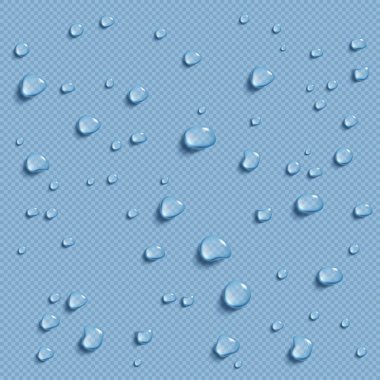 Water drops isolated on transparent background. Realistic pure droplets condensed. Vector image clipart