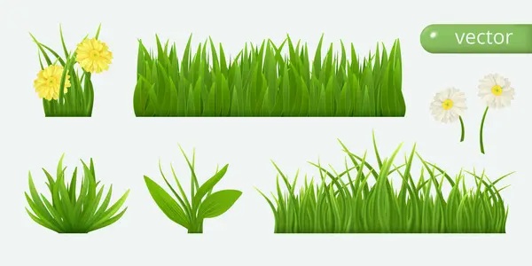 现实的绿草 一丛丛新鲜的绿叶 用植物做的玻璃 黄色和白色的花 矢量说明 — 图库矢量图片#