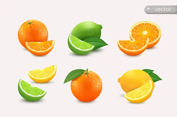 Zitruszitrone Limette Orange Ganz Halbieren Und Scheiben Schneiden Realistische Vektordarstellung Stockillustration