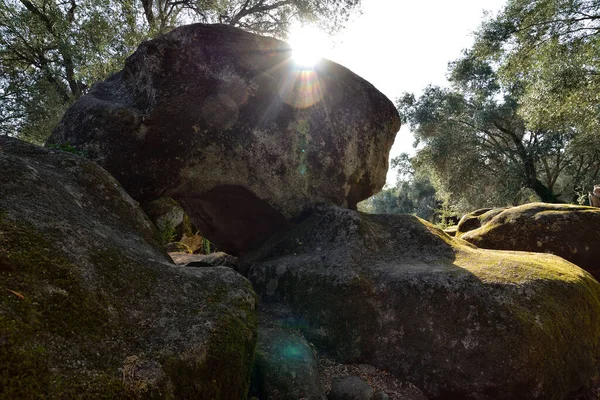 Inggris Filitosa Corsica Figur Batu Tua Dari Peradaban Kuno Tempat — Stok Foto