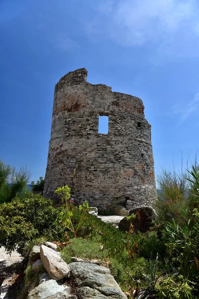 Torre Genovesa Erbalunga Cap Corse Córsega — Fotografia de Stock