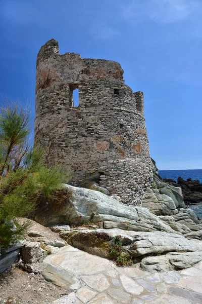 Torre Genovesa Erbalunga Cap Corse Córsega — Fotografia de Stock