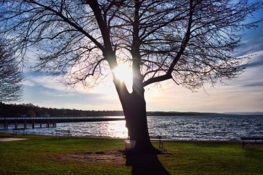 Skaneateles Gölü boyunca Skaneateles, New York 'ta bir ağacın arkasında, klişe bir çekim.