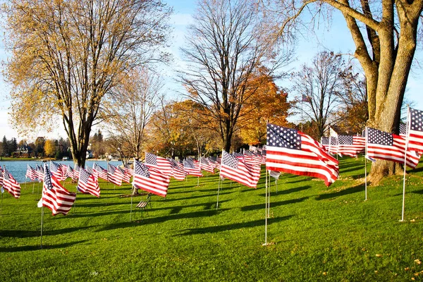Американські Прапори Літають Честь Ветеранів Дня Ветеранів Пагорбі Березі Озера — стокове фото