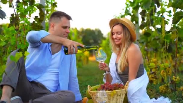Hombre Vierte Vino Blanco Una Copa Mujer Picnic Aire Libre — Vídeo de stock