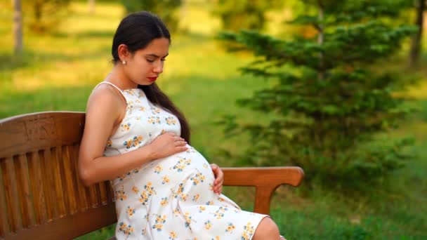 Hamile Bir Kız Yazın Bankta Oturur Karnını Okşar Hamilelik Tatil — Stok video