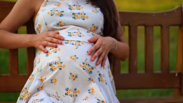 Una Chica Embarazada Acaricia Vientre Concepto Embarazo Vacaciones Amor Imágenes — Vídeos de Stock