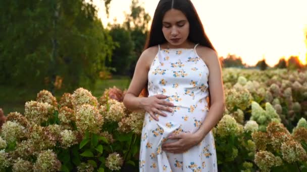 若い妊婦が腹を打ってカメラに向かって微笑む 将来の母性 致命的なセンターの概念 — ストック動画