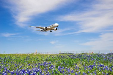 IRVING, USA - April 7, 2024: A Finnair aircraft Airbus A350-900 landing at Dallas Fort Worth International Airport (DFW) from Helsinki. Springtime, Texas bluebonnet field, blue sky and white clouds. clipart
