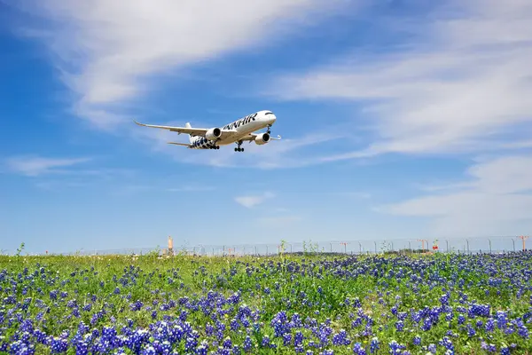 stock image IRVING, USA - April 7, 2024: A Finnair aircraft Airbus A350-900 landing at Dallas Fort Worth International Airport (DFW) from Helsinki. Springtime, Texas bluebonnet field, blue sky and white clouds.