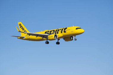 IRVING, ABD - 1 Şubat 2025: Spirit Airlines Airbus A320-271N, Dallas Fort Worth Uluslararası Havalimanı (DFW), mavi gökyüzü.