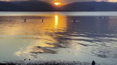 Hayalci Romantik Gün Batımı ve Deniz