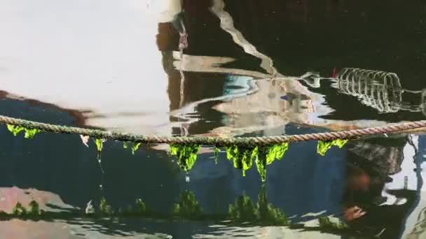 Mossy Lano Moři Voda Doku Video — Stock video