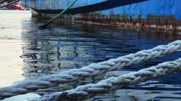 Bote Cuerda Muelle Agua Mar Reflexión Video — Vídeos de Stock