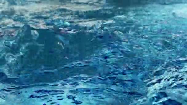 Saf Havuzu Kabarcıkları Dalgalar — Stok video