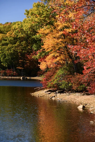 Lago Folhagem Outonal Com Belas Árvores Coloridas Harriman State Park — Fotografia de Stock