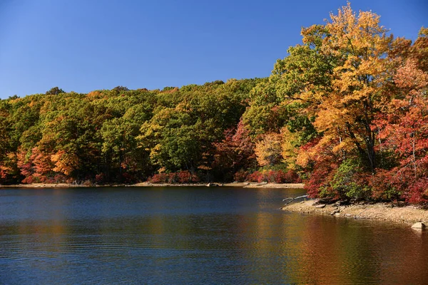 Sonbahar Yapraklarıyla Göl Kenarındaki Renkli Ağaçlar Göl Kıyısındaki Altın Sonbahar — Stok fotoğraf