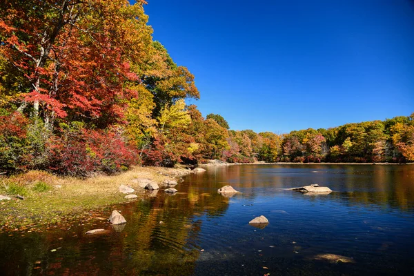 New York Abd Deki Harriman State Park Lakeside Yaprakları Dökülüyor — Stok fotoğraf